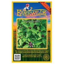 Everwilde Farms - 2000 Cinnamon Basil Herb Seeds - Gold Vault Jumbo Bulk Seed Packet