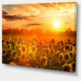thumbnail image 2 of Designart 'Yellow Sunset over Sunflowers ' Floral Photography Art, 2 of 3