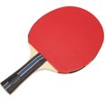 thumbnail image 2 of REGAIL Adult Teenager Single Table Tennis Bats Racket Training Practicing with Storage Bag8018 blue bag, 2 of 6
