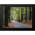 thumbnail image 2 of Head, Danny 24x18 Black Modern Framed Museum Art Print Titled - Country Drive, 2 of 5