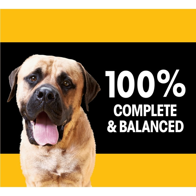 Dog on pedigree commercial cheap breed