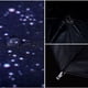 thumbnail image 5 of Paraguas plegable inverso, resistente al viento y al agua, perfecto para desplazamientos diarios, 5 of 7