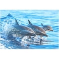 thumbnail image 7 of 6pcs Dolphin Leaping Out of Waters Placemat - 12x18in - Washable Heat Crease Resistant Printed Place Mat for Kitchen Dinner Table, 7 of 7