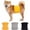 gray+yellow+black, variant on Monebena 3 Pack Reusable Dog Belly Bands Dog Diapers Washable Male Puppy Wraps, Absorbent Doggy Nappies Wraps Belly Band for Small Medium Large Male Dogs