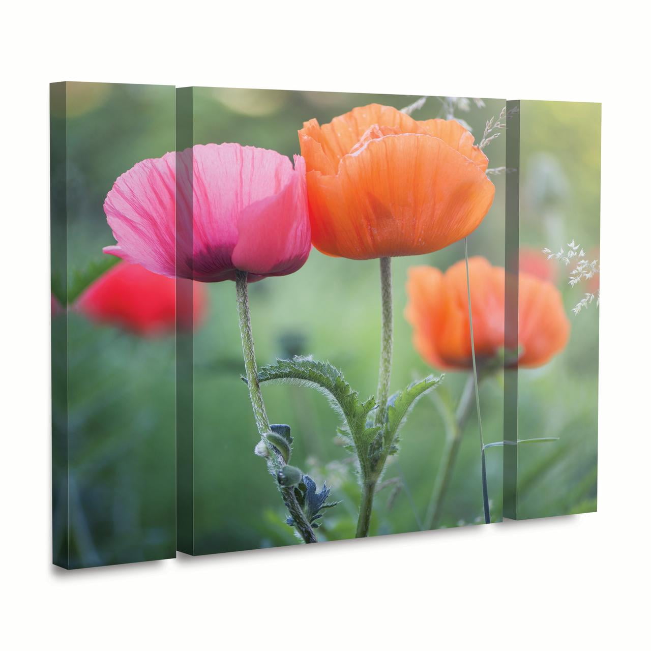 Trademark Fine Art 'Love Me Again' Canvas Art by Philippe Sainte-Laudy