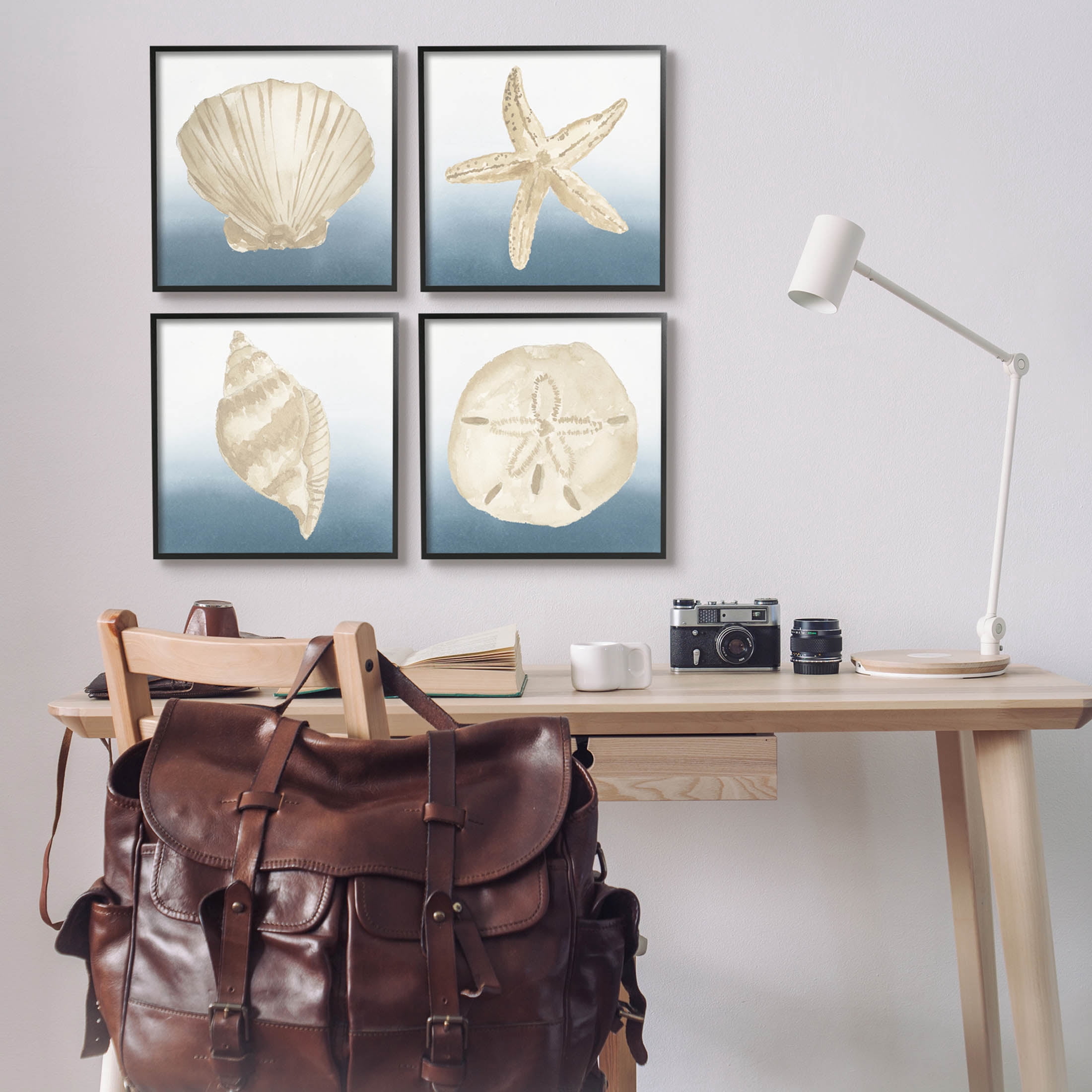 Maritime Seashells Ocean Beach Life Animals & Insects Graphic Art Black Framed Art Print Wall Art, Set of 4