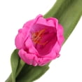 thumbnail image 4 of Uxcell 14" Artificial Tulips Flowers Floral Arrangements Bouquet Decor, Fuchsia 15 Stems, 4 of 6