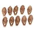 thumbnail image 2 of 10Pcs Terrarium Vivarium Ornament Snake Hide Cave, 2 of 8