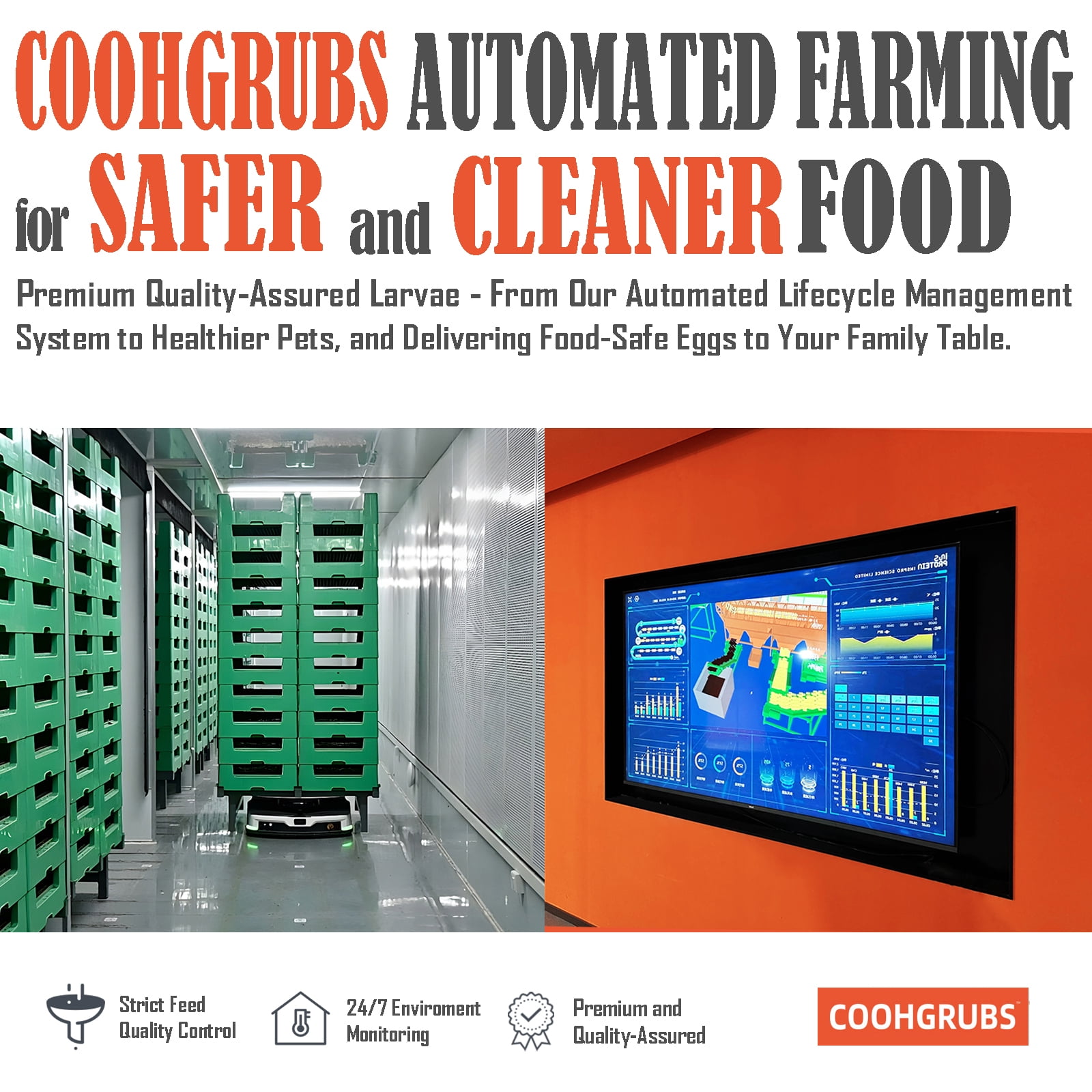 COOHGRUBS Dried Black Soldier Fly Larvae for Chickens, High-Calcium 85X More than Mealworms Bird Treat, 10-lb box