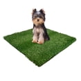 thumbnail image 3 of Hierba artificial con forma de orinal para perros con cuatro patas, 51 x 51 cm, 3 of 4