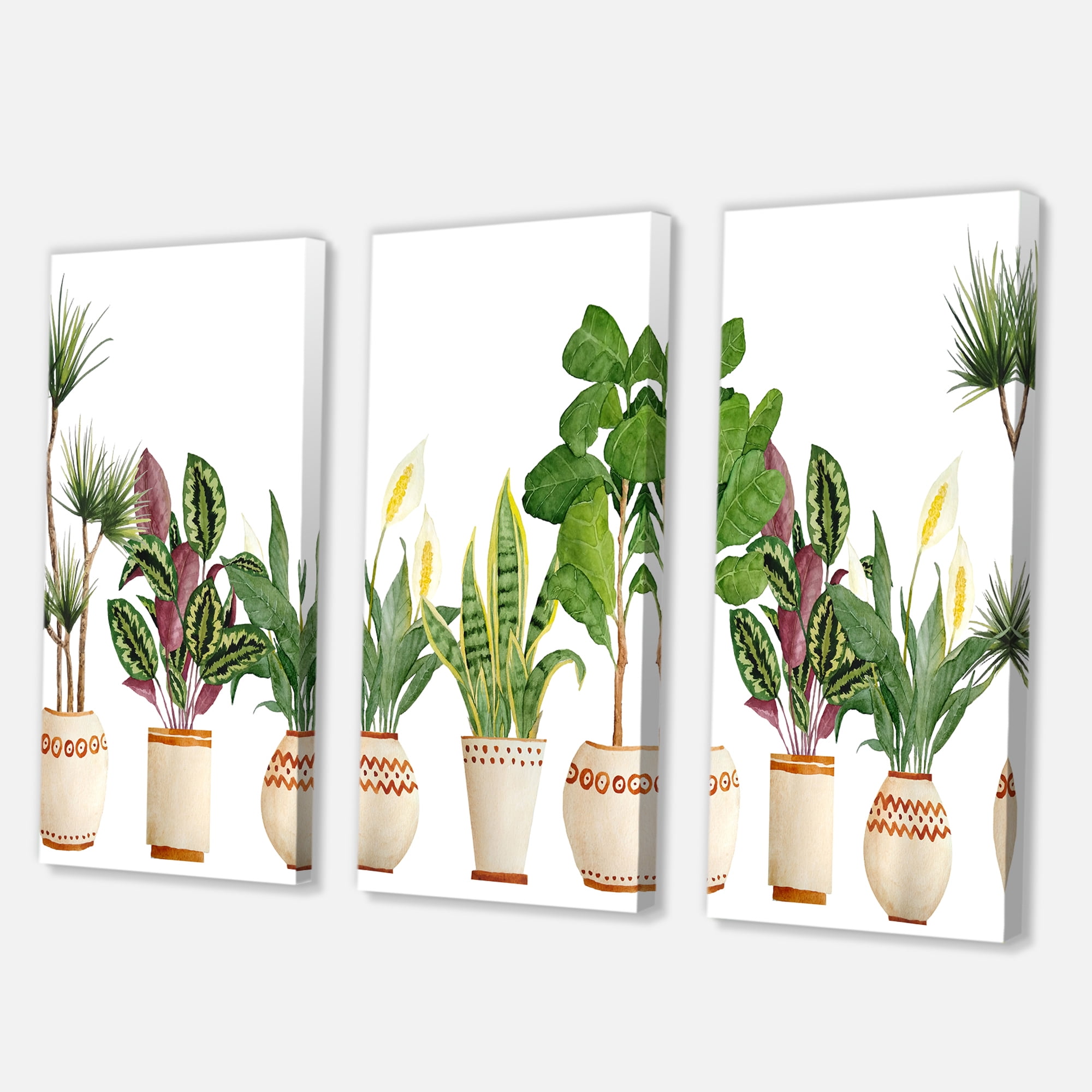 Designart ' Trio of Houseplants Sanseviera Snake Plants On White ' Farmhouse Canvas Wall Art Print