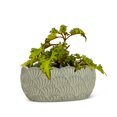 thumbnail image 2 of Oval Scallop Planter, 2 of 4