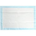 thumbnail image 2 of Honey Care All-Absorb 20 Count Cat Litter Pads Refills, 2 of 7