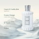 thumbnail image 5 of Perfume ROMASS Silver Mist EDP 100 ml para hombre y mujer, 5 of 8