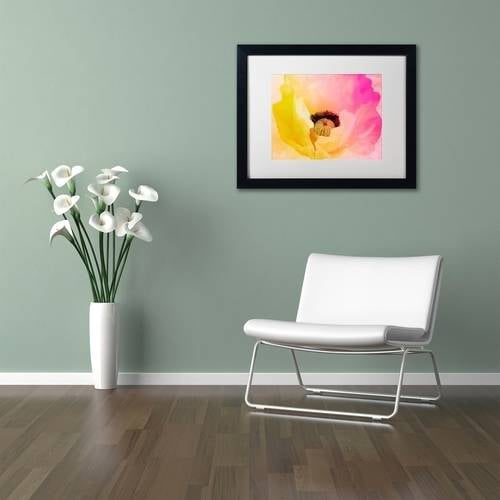 Trademark Fine Art "Poppy Gradient II" Canvas Art by Color Bakery White Matte, Black Frame