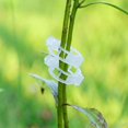 thumbnail image 3 of 100Pcs Plant Support Clips Durable Vine Garden Vegetables 3cm For Types Plants Hanging Plastic Clips Plant Support, 3 of 9