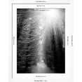 thumbnail image 5 of Art.com Black and White Winter Forest, Vertical Landscape Photographic Print by SSokolov, White Frame Wall Art, 32" x 40", 5 of 5