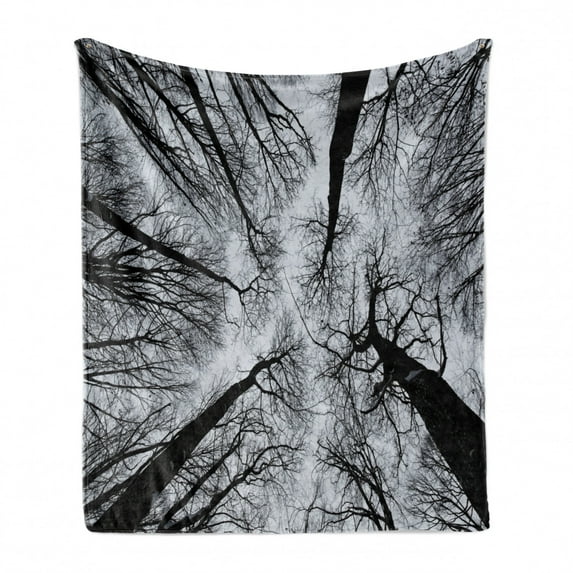 Forest Soft Flannel Fleece Throw Blanket, Scary Winter Tops of the Trees Dark Dramatic Silhouettes Enchanted Nature Image, Cozy Plush for Indoor and Outdoor Use, 60" x 80", Black Grey, by Ambesonne