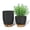 Black&Brown, variant on FIASON 5 Pack 6 Inch White with Brown Self Watering Plant Pots, with Watering Lip, Drainage Holes & Removable Saucer, Flower Planters for Indoor Outdoor Garden House Plants
