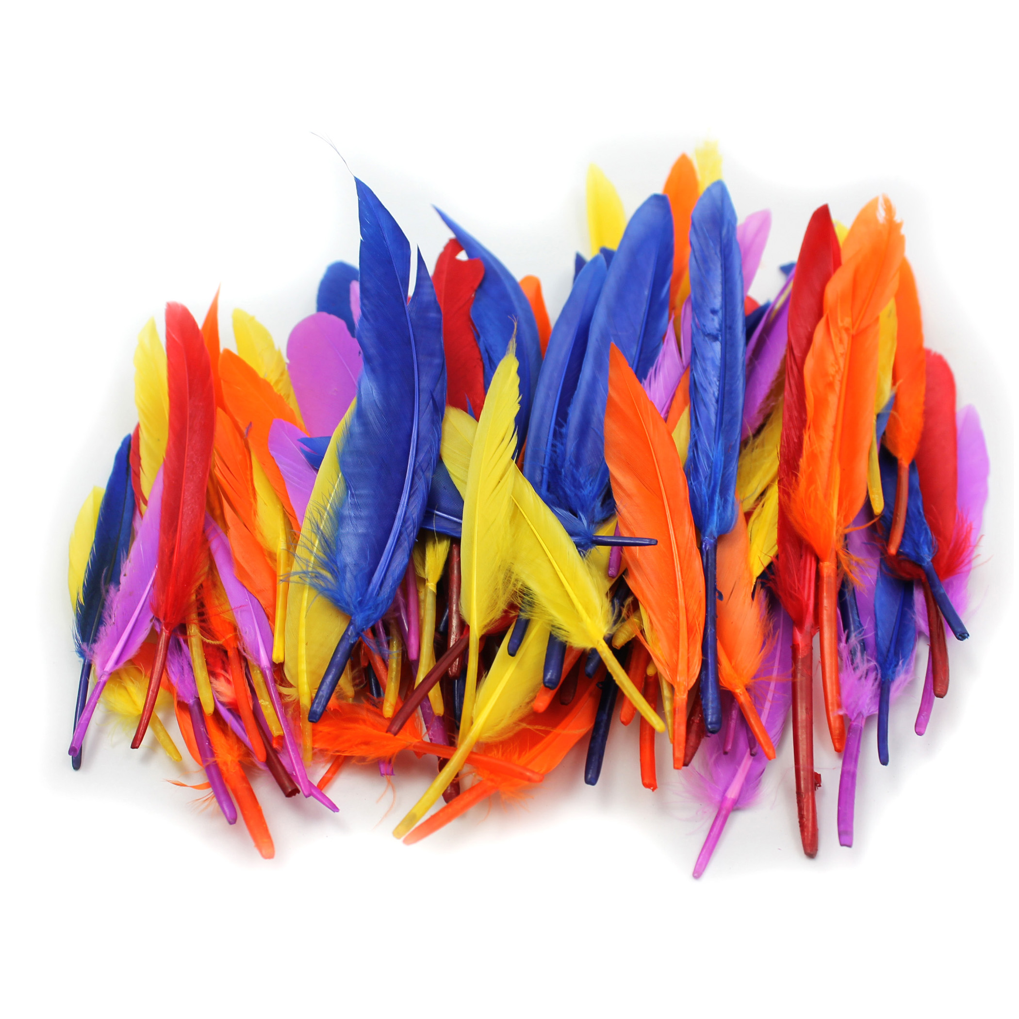 Charles Leonard Duck Quills Feathers, 14 Grams Per Bag, 6 Bags