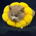 thumbnail image 3 of JM Girasoles elizabeth ring gato perro aseo anti-mordedura cuello protección vergüenza collar productos para mascotas JM JM, 3 of 5
