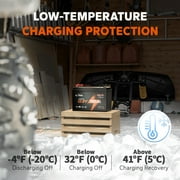 LiTime 12V 100Ah LiFePO4 Battery Low Temp Protection Trolling Motors Battery with 14.6V10A Charger