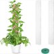 thumbnail image 2 of 4 Paquetes de Postes de de Plástico para Plantas Monstera, Soporte de Plantas Apilable para Plantas Trepadoras de Interior, Postes de Plantas Transparentes, 2 of 8