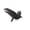 A, variant on 15 in. Halloween Haunted Flying Crows — Bold Black Silhouette with Eerie Details, Halloween Decorations for Porch Ceilings, Tree Branches & Entryway Displays — perfect for Halloween Parties