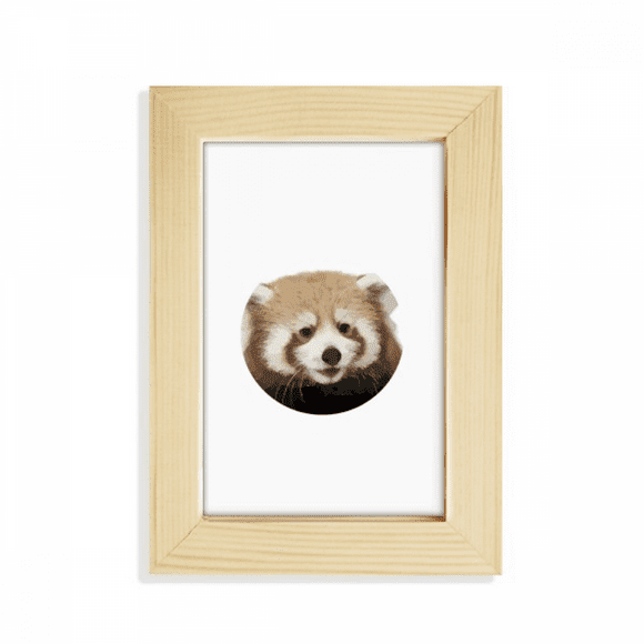Brown Jungle Civet Cats Lovely Little Desktop Display Photo Frame Picture Art Painting 5x7 inch