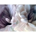 thumbnail image 3 of Pollard, David 14x12 Black Modern Framed Museum Art Print Titled - Chrysanthemum X, 3 of 5