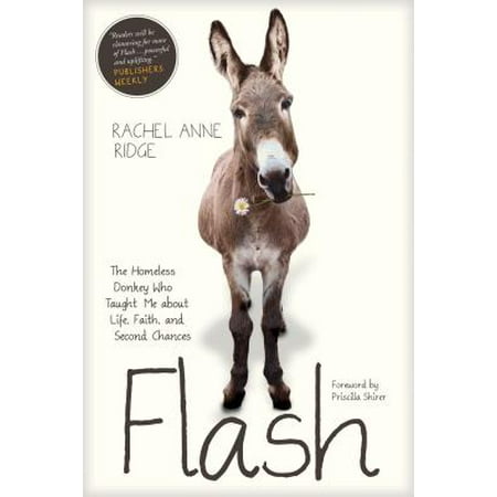Flash : The Homeless Donkey Who Taught Me about Life, Faith, and Second (Best Of Real Life Send Me An Angel)