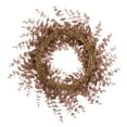 thumbnail image 6 of Vickerman 24" Café Latte Artificial Eucalyptus Glitter Wreath., 6 of 6