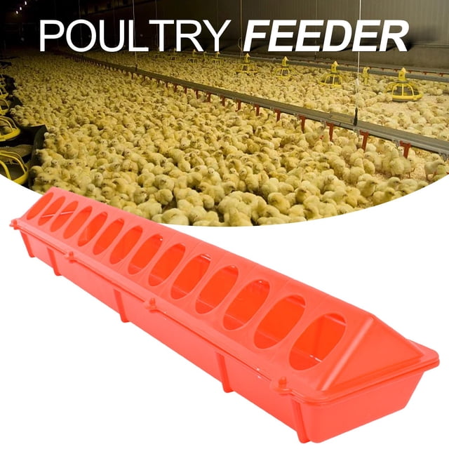 Alimentador de aves de corral con tapa abatible de plástico, alimentador de aves, , dispensador de alimentos, caja de herramientas agríc Salvador Alimentador de aves de corral