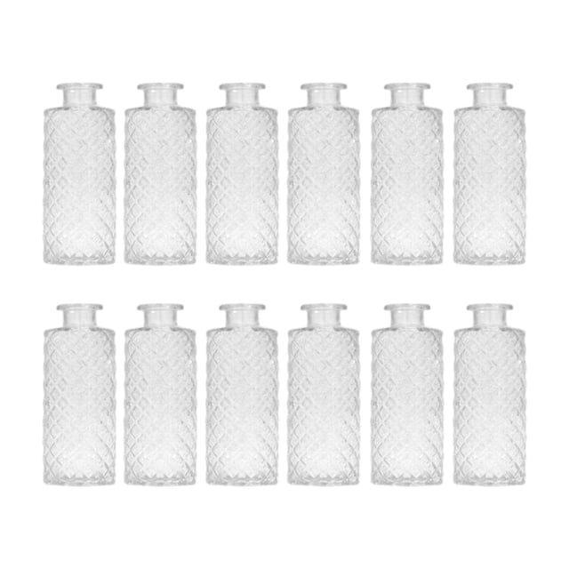 12 jarrones de vidrio para arreglos florales, mini jarrones portátiles para plantas Claro