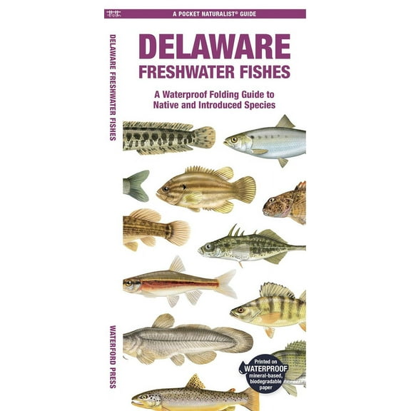 Pocket Naturalist Guide: Delaware Freshwater Fishes : A Waterproof Folding Guide to Native and Introduced Species (Other)