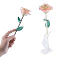 thumbnail image 1 of 11-12 Pulgadas de Largo, Rosa Real Recién Escogida A Mano, Rosa Chapada en Oro de 24 K, Amor para Siempre, Rosa Blanca y Rosa, Caja de Con Soporte, Rosa Real Bañada en Oro 24, 1 of 7