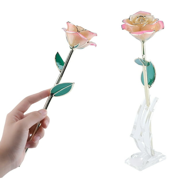 11-12 Pulgadas de Largo, Rosa Real Recién Escogida A Mano, Rosa Chapada en Oro de 24 K, Amor para Siempre, Rosa Blanca y Rosa, Caja de Con Soporte, Rosa Real Bañada en Oro 24