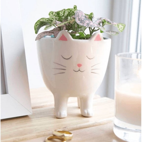 SparkDazzle 11.75” x 14.75” Standing Cat White Ceramic Animal Print Plant Planter