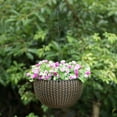 thumbnail image 5 of 10" Self Watering Bronze Hanging Basket Flower Planter, 5 of 8