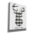 thumbnail image 2 of Epic Graffiti 'Stay Wild' by Cindy Jacobs, Canvas Wall Art, 26"x34", 2 of 2