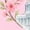 AD-Pink, variant on Washington Dc Cherry Blossom Youth Hoodie Sweatshirt