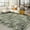 Old Green, variant on 5x7 Area Rugs for Living Room Washable Vintage Distressed Rug Soft Non Slip Area Rug for Bedroom Dining Room Home Office Reddish Brown