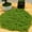 Light Green, variant on Jingjianm Simulation Moss Diy Artificial Moss Green Plant Decoration Landscaping Bonsai Pavement Silky Fake Moss Dark Green 200g