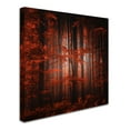 thumbnail image 3 of "Red Parallel Universe" Canvas Art by Philippe Sainte-Laudy, 3 of 4