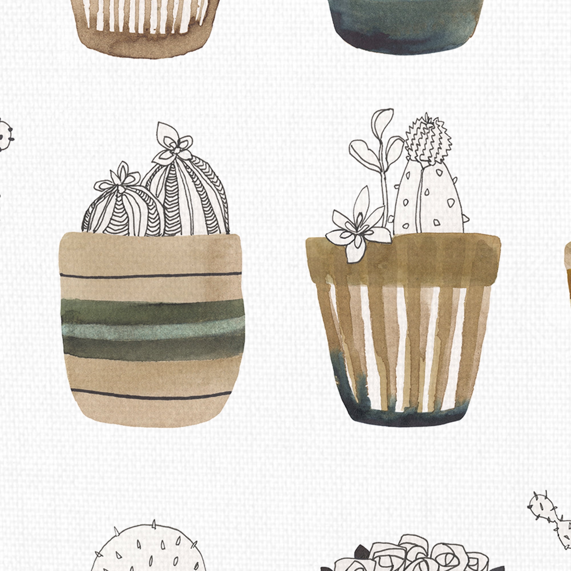 Cactus Collective by Sandra Jacobs Potted Cactus Canvas Art