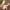 Beige 2, variant on Hoshose New Summer Slide Wedge Slipper for Women Closed Toe Hollow Out Casual Outdoor Slip on Platform Slippers Soft Soled