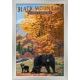 thumbnail image 1 of Black Mountain, North Carolina - Bear Family & Fall Colors - Lantern Press Artwork (16x24 Giclee Art Print, Gallery Framed, Silver Wood), 1 of 1