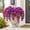 Purple-PP, variant on MMJ Artificial Flowers Faux Petunia Bush UV Resistant Outdoor Indoor Garden Porch Patio Planter Window Box Decor 24.01x14.01in