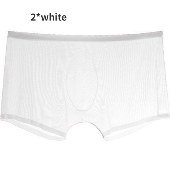 Transparent Boxers for Men See Through Male Underpants Sexy Low Waist Panties Lingerie Intimates Mesh Ice Silk Sexy Boxer Pants CR02 XXXL