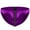 Purple, variant on Red Satin Underwear for Men with Zipper Fly - Mens Shiny Briefs, Novelty Fashion Style, Free Size,Size Free Size